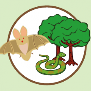 flagermus