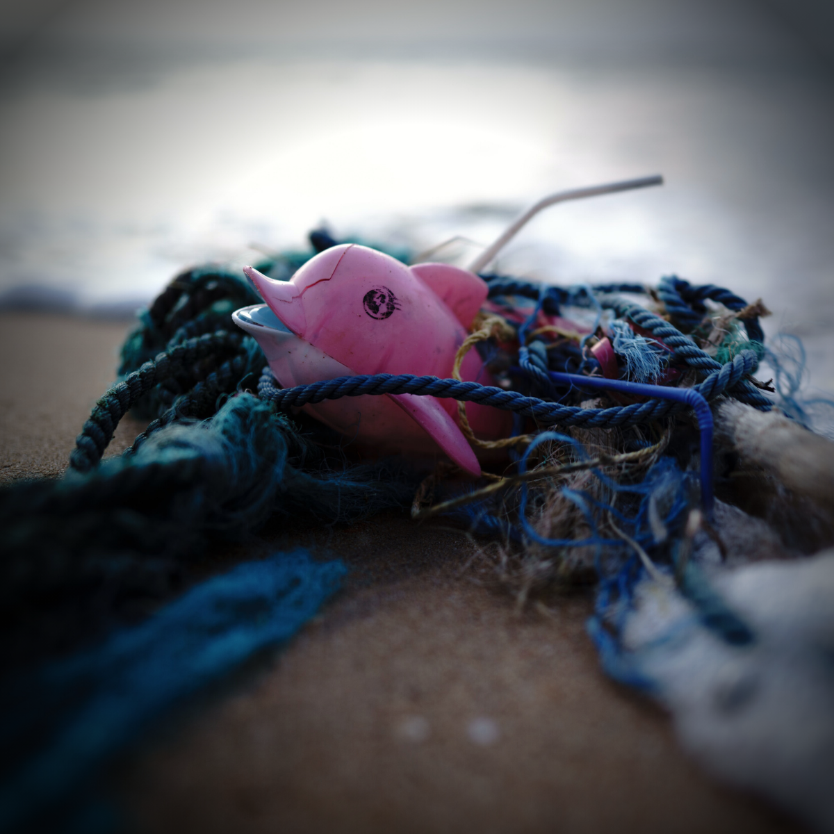 Pink toy dolphin caught in fishing net