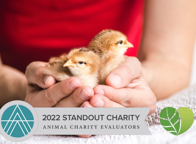 standout-charity-v2