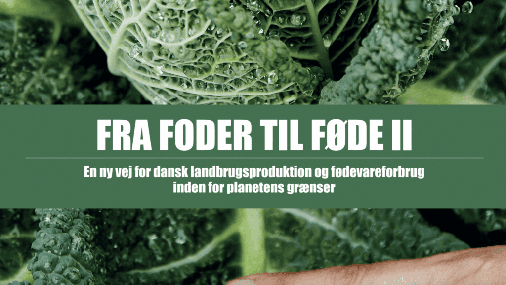 Fra foder til føde II: Grønne organisationer vil fremtidssikre dansk ...